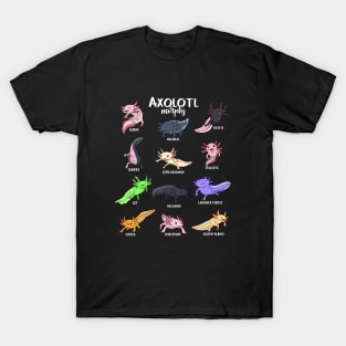 Different Kawaii Axolotl Types T-Shirt